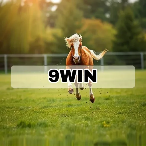 9win.com Loteria