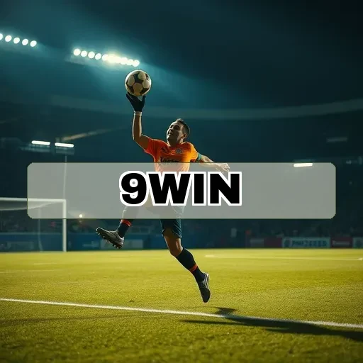 9win.com Avaliações